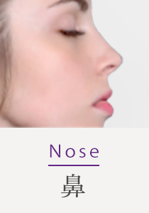 Nose 鼻