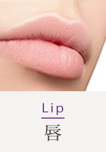 Lip 唇