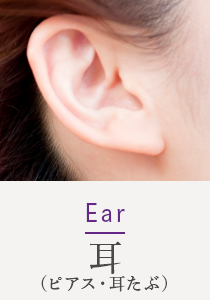 Ear 耳(ピアス・耳たぶ)